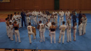 Judoclub Geetbets tijdens Capoeira op stage te Polen